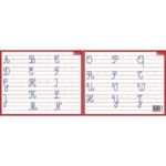 CBG Ardoise Blanche effaçable à sec format 21 x 26,5cm, avec l'aphabet en majuscule cursive