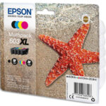 EPSON Multipack 4 couleurs 603XL Etoile de mer (T03A6) C13T03A64010