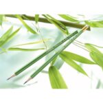 STABILO GREENgraph crayon graphite HB avec bout gomme – Image 2