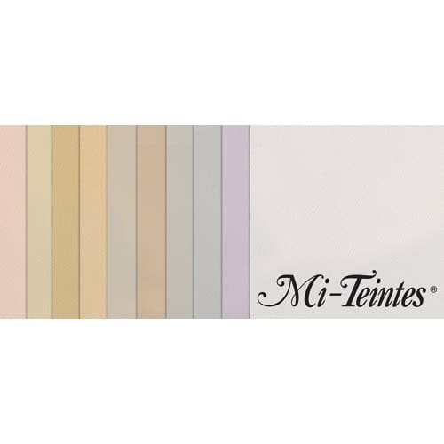 445718_d1-1.jpg CANSON Manipack 10 feuilles MI-TEINTES® 50X65 160g couleurs pastel – Image 1