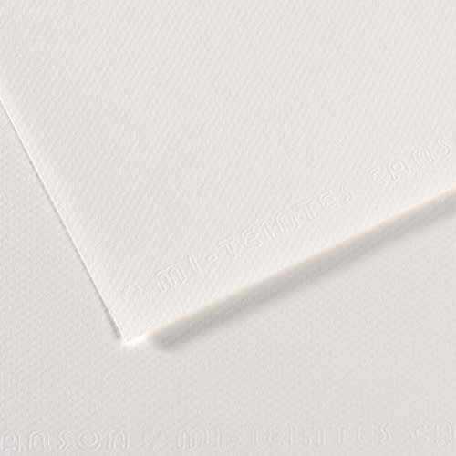 445720_d1-1.jpg CANSON Feuille MI-TEINTES® 50X65 160g blanc 335 – Image 1