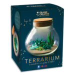 GRAINE CREATIVE Kit Fimo terrarium