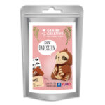 GRAINE CREATIVE Kit Fimo paresseux