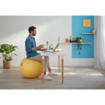 LEITZ Cosy Ballon d'assise ergonomique, jaune, 52790019 – Image 3