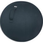 LEITZ Cosy Ballon d'assise ergonomique, gris, 52790089
