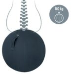 LEITZ Cosy Ballon d'assise ergonomique, gris, 52790089 – Image 2