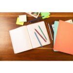 BIC Evolution Original Crayons à Papier avec Gomme Intégrée - HB – Image 3