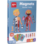 APLI KIDS Boîte de 63 magnets pour apprendre le corps humain