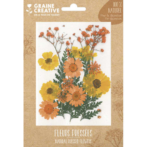 461650_d1-1.jpg GRAINE CREATIVE Sachet de 18 fleurs séchées PRAIRIE JAUNE pour la création de bougies, objets en bois... – Image 1