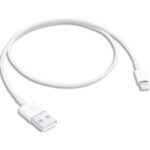 APPLE Câble lightning 50 cm - Câble de données / charge pour iPad / iPhone / iPod