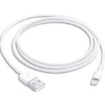 APPLE Câble Lightning - Lightning / USB - 1 m Téléphone cellulaire, tablette, lecteur numérique