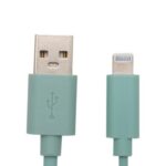 APM Câble Lightning MFI mint 1m 600402