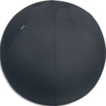 LEITZ Ballon d'assise LEITZ 65cm lesté, Gris foncé 65420089