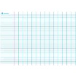 ART PLUS Carte grand Seyès avec marge en Polypro 5/10è, effaçable à sec - format 140 x 100 cm