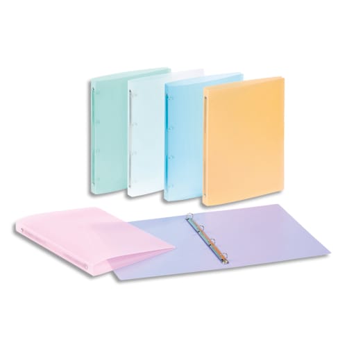 041436_d1.jpg VIQUEL Classeur PROPYSOFT en polypropylène 5/10e dos 2,5 cm coloris assortis – Image 1