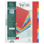 EXACOMPTA Jeu d'intercalaires 12 positions format 24x32cm pour pochettes perforées. Carte lustrée 3/10e. – Image 4