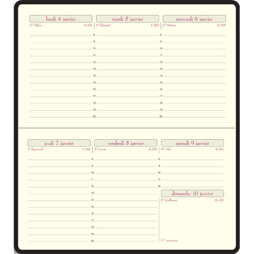 096305_d1-1.jpg EXACOMPTA Semainier Temporel 16, Janvier à Décembre, 16x8,5cm PVC assortis – Image 1