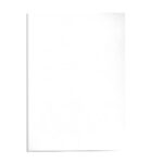 FELLOWES Boîte de 25 couvertures DELTA format A4 Blanc 5373601 – Image 3