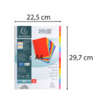 EXACOMPTA Jeu d'intercalaires 12 positions en carte lustrée 5/10e format A4 400g – Image 4