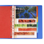 EXACOMPTA Jeu d'intercalaires 6 positions format 24x30cm pour pochettes perforées. Carte lustrée 3/10e. – Image 2