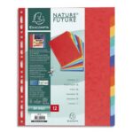 EXACOMPTA Jeu d'intercalaires 12 positions format 24x30cm pour pochettes perforées. Carte lustrée 3/10e.