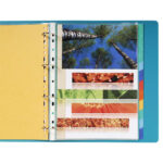 EXACOMPTA Jeu d'intercalaires 12 positions format 24x30cm pour pochettes perforées. Carte lustrée 3/10e. – Image 3