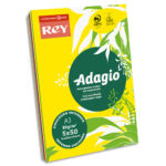 REY Ramette 50 feuilles x 5 teintes papier couleur intense ADAGIO assortis intenses A3 80g