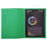 EXACOMPTA Paquet de 100 sous-chemises ROCK'S en carte 80 grammes coloris Vert sapin – Image 4