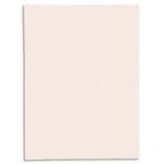 EXACOMPTA Paquet de 50 chemises 1 rabat SUPER 250 en carte 210 grammes bulle