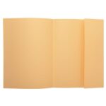 EXACOMPTA Paquet de 50 chemises 1 rabat SUPER 250 en carte 210 grammes bulle – Image 2