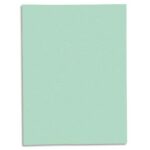 EXACOMPTA Paquet de 50 chemises 1 rabat SUPER 250 en carte 210 grammes Vert