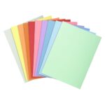 EXACOMPTA Paquet de 10 chemises SUPER 250 en carte 210 grammes coloris assortis – Image 2