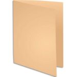 EXACOMPTA Paquet de 100 chemises SUPER 250 en carte 210 grammes coloris bulle