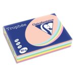 CLAIREFONTAINE Ramette 5x100F papier couleur Trophée 80g A4 assortis pastel Rose,canari,vert,Bleu,Saumon