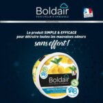 BOLDAIR Pot 300g Gel destructeur d'odeurs Citron – Image 3