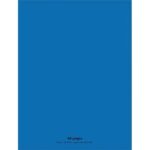 CONQUERANT C9 Cahier piqûre 24x32cm 48 pages 90g grands carreaux Seyès. Couverture polypropylène Bleu