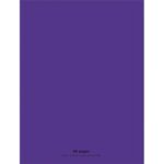 CONQUERANT C9 Cahier piqûre 24x32cm 48 pages 90g grands carreaux Seyès. Couverture polypropylène Violet