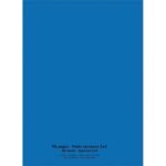 CONQUERANT C9 Cahier piqûre 24x32cm 96 pages 90g quadrillé 5x5. Couverture polypropylène Bleu