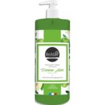 BOLDAIR Flacon à pompe 500 ml de Savon liquide doux à la glycérine parfum pomme aloé