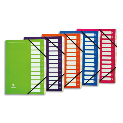 307395_d1.jpg EXTENDOS Trieur avec élastique MON DOSSIER en carte. 12 compartiments. Coloris assortis. – Image 1
