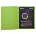 EXACOMPTA Paquet de 100 sous-chemises ROCK'S en carte 80 grammes coloris Vert clair – Image 4