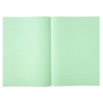 EXACOMPTA Paquet de 250 sous-chemises SUPER 60 en carte 60 grammes coloris Vert clair – Image 3