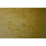 EXACOMPTA Chemise 3 rabats et élastique monobloc, carte lustrée 5/10e Jaune, élastique fixé devant – Image 4