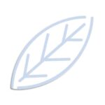 TORK Colis de 21 Paquets de 110 Essuie-mains Xpress interfoliés Doux Premium 2 plis plié en M 21,2x34 cm – Image 3