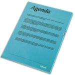 ESSELTE Boîte de 100 pochettes-coin Copy Safe Bleu en polypropylène 11/100e