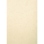 EXACOMPTA Paquet 100 plat couverture FOREVER rigide,grain cuir,270 g, certifié Ange Bleu, Ivoire A4 2780C – Image 3