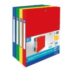 OXFORD Lot de 4 Boîtes TOP FILE 24x32 dos 25mm carte lustrée
