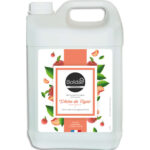 BOLDAIR Bidon de 5 litres de Savon liquide doux à la glycérine parfum pêche de vigne