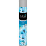 BOLDAIR Désodorisant d'atmosphère 750 ml parfum Bouquet marin Professional