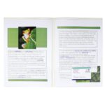 EXACOMPTA Sachet de 10 pochettes-coin double poche polypropylène 20/100e. Format A4/A3. Coloris incolore – Image 2